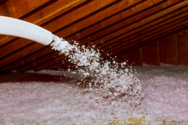 Professional Insulation Contractor in Halfway, MD