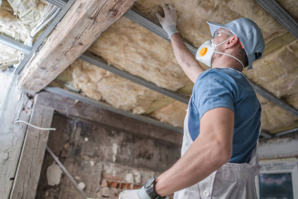 Best Energy Efficiency Insulation in Halfway, MD